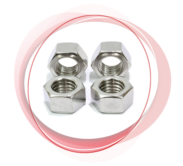 Duplex Steel Nuts