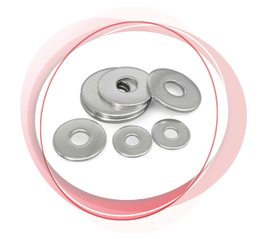 Duplex Steel Washers